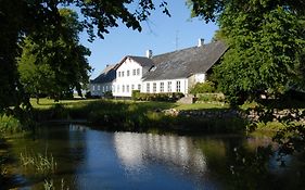 Rønhave